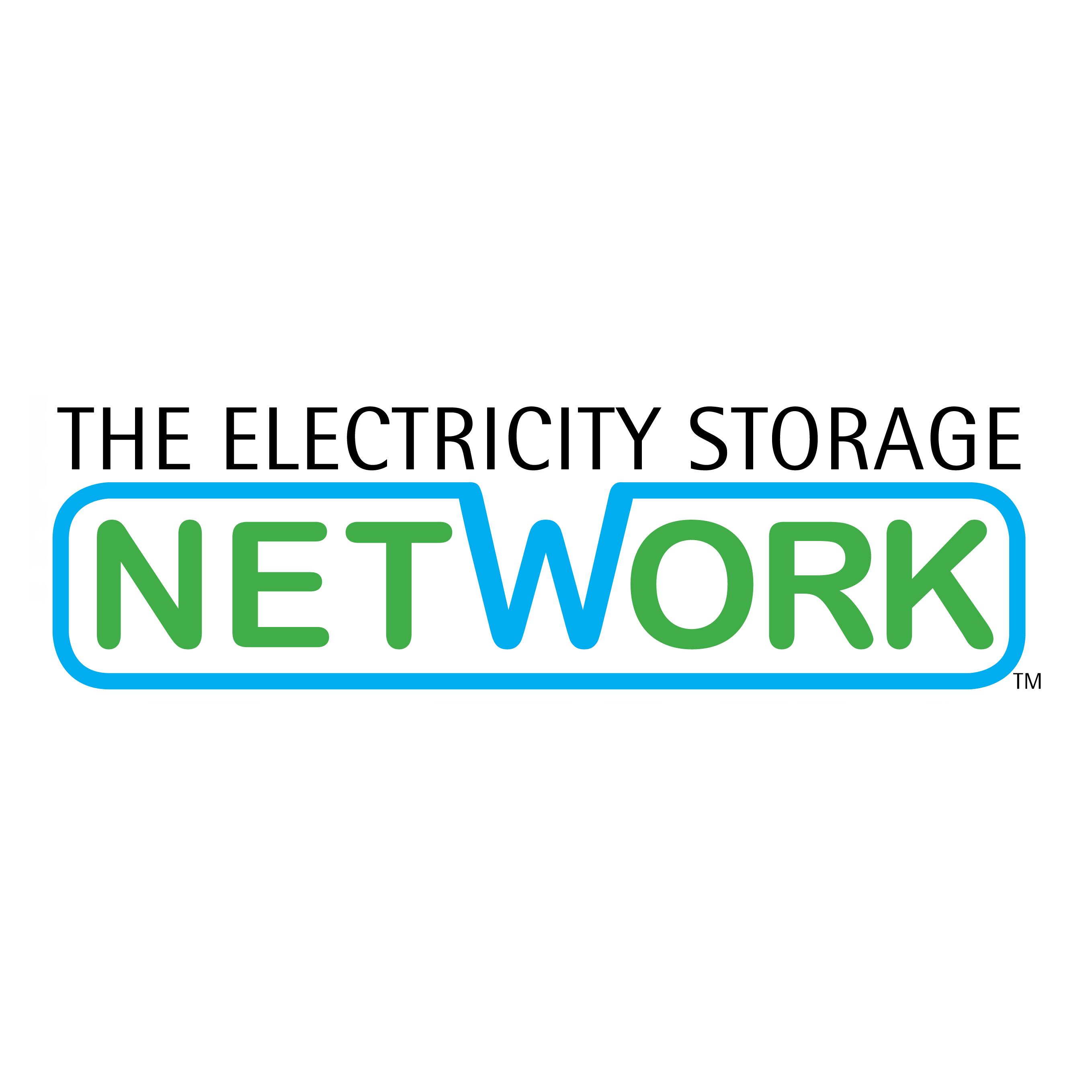 Electricity Storage Network