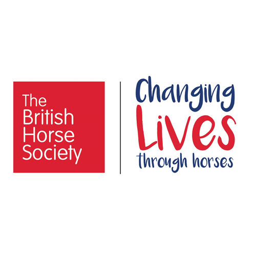 Changing Lives Through Horses